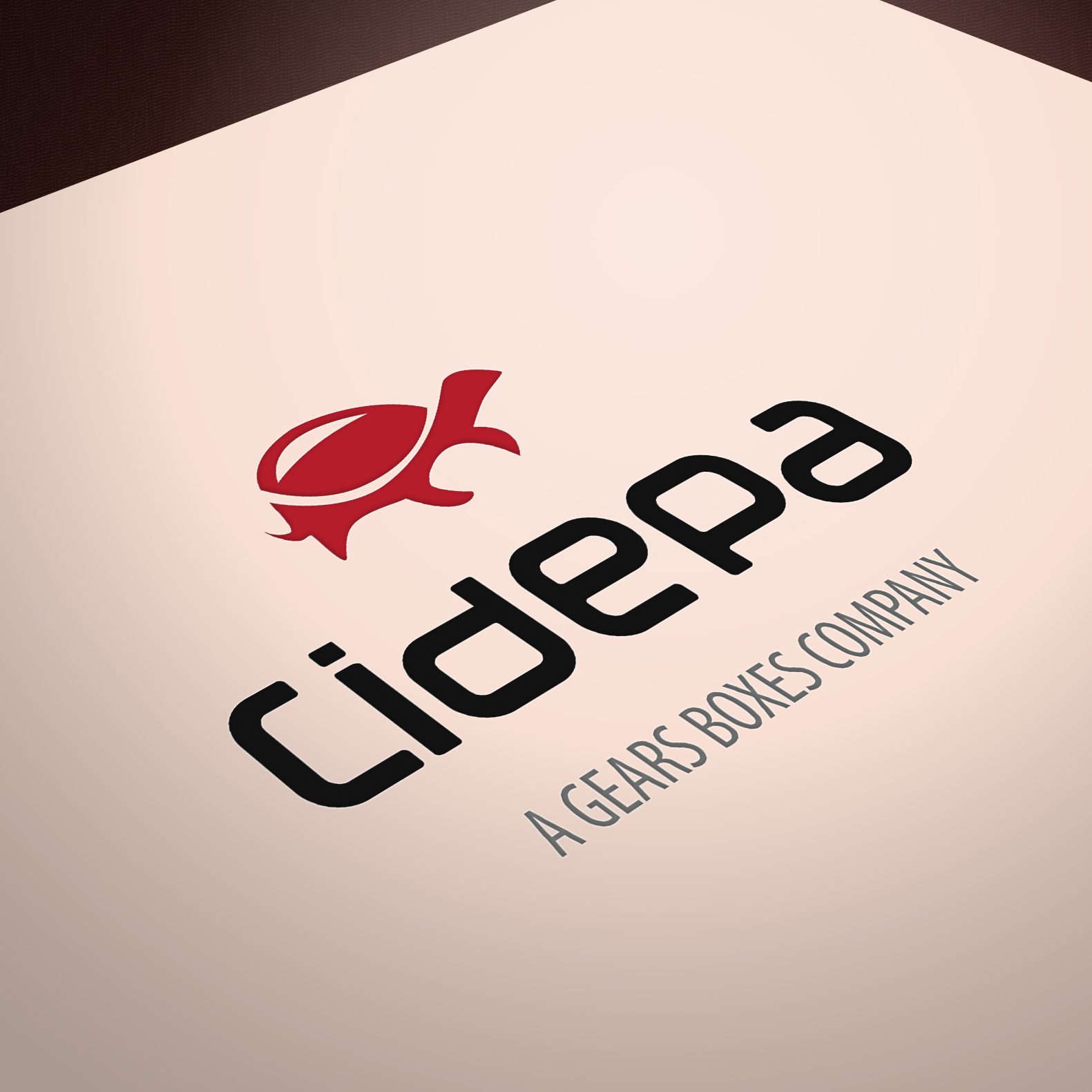 branding_cidepa_textura_design_marca