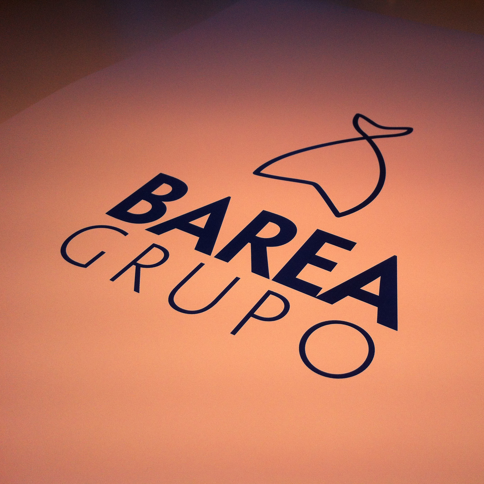 branding_marca_grupo_barea_textura_design